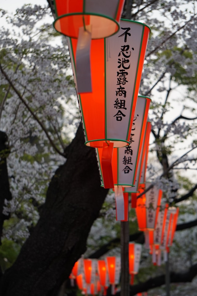 女装で花見の楽しみ方、準備することと